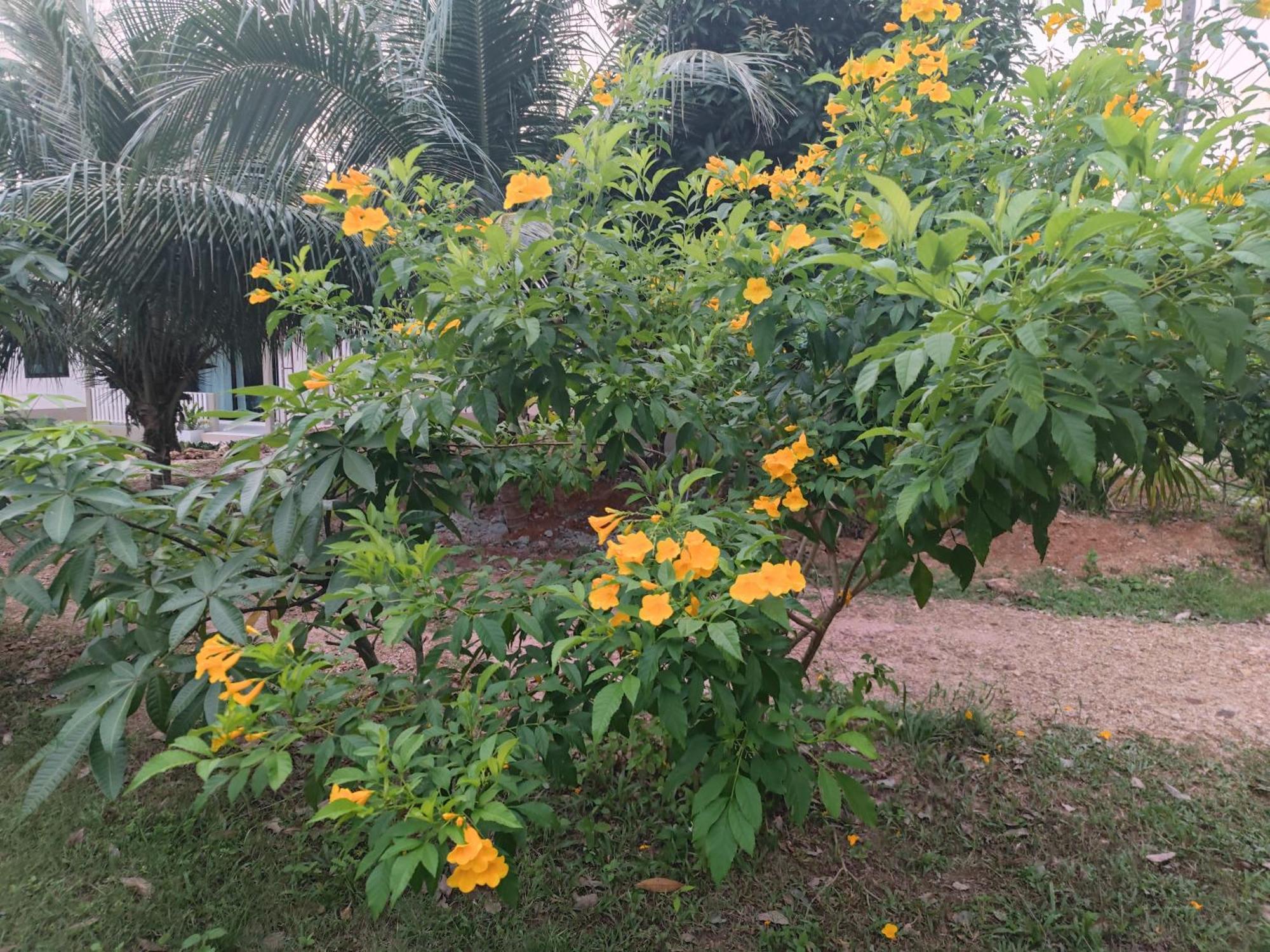 The Secret Garden Homestay Koh Yao Yai Ko Yao Yai Exterior photo