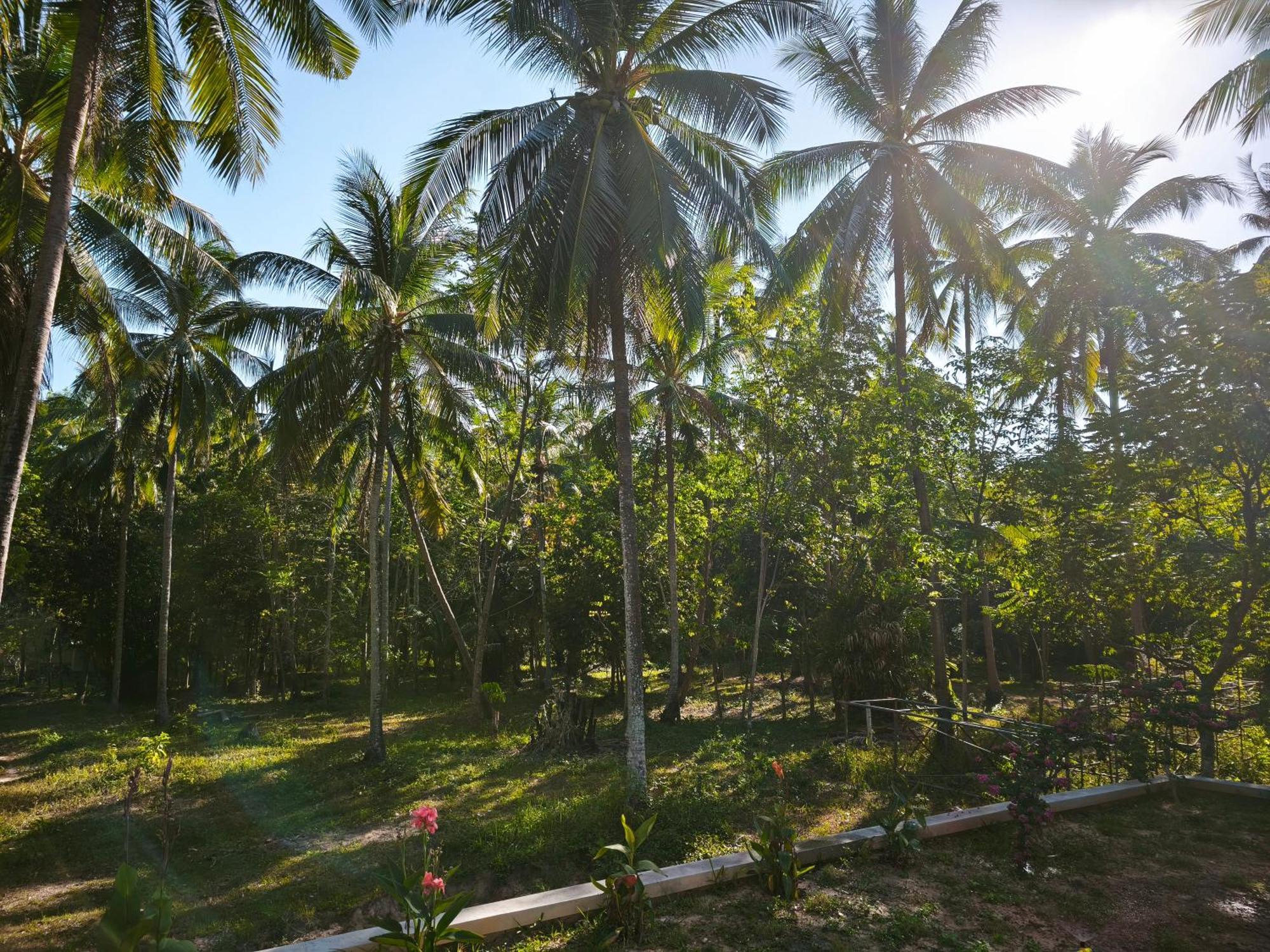 The Secret Garden Homestay Koh Yao Yai Ko Yao Yai Exterior photo